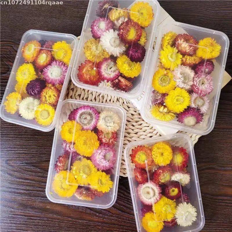 Flores Secas 100% Naturales Br - Candle Making Material Wholesale reseña y precio