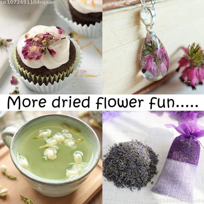 Flores Secas 100% Naturales Br - Candle Making Material Wholesale reseña y precio